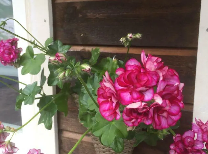 Frydenlund Hébergement de vacances